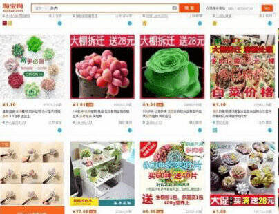 利用QQ空间日引流上千的技巧